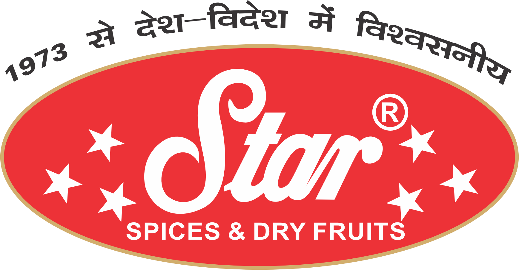/assets/images/partner/Star Logo.png